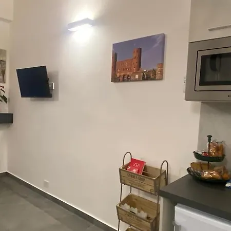 Statuto Plaza 公寓 都灵